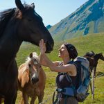 Pferd bei der Wanderung Col di Lana