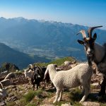 Wandern im Süden Südtirols