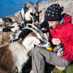 Wandern im Süden Südtirols