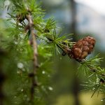 Wanderung Uina Schlucht