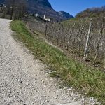 20110320 Fruehlingstal 42.jpg