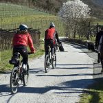 20110320 Fruehlingstal 44.jpg