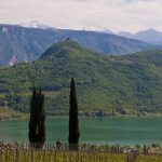 Weinwandertag Kaltern 24.jpg