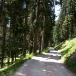 20110710 Laugenalm 004.jpg