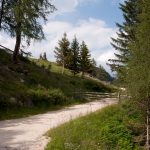 20110710 Laugenalm 024.jpg