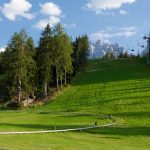 Sommerrodelbahn Innichen 04.jpg