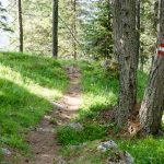 wandern unter der Civetta 09