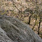 Felsen Spazierweg Tramin Soell.jpg