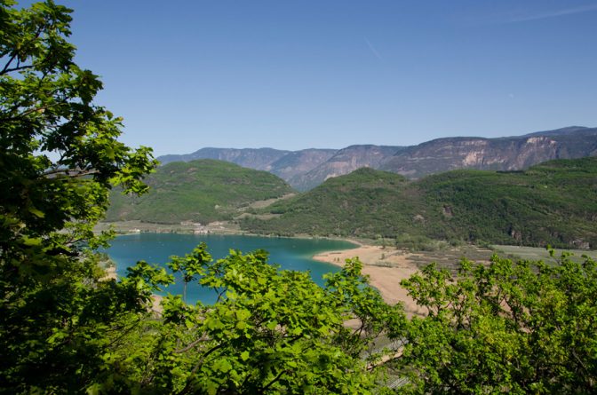 Eichenblätter und Kalterer See