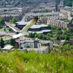 Möwe in Edinburgh Schottland