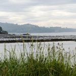 Cramond Island Edinburgh