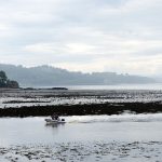 Cramond Island Edinburgh