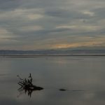 Cramond Island Edinburgh