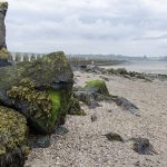 Cramond Island Edinburgh