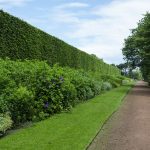 Botanic Garden Edinburgh