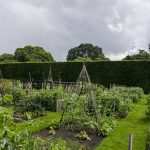 Botanic Garden Edinburgh