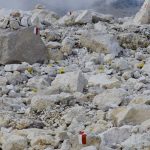 Palagruppe – Pale di San Martino