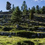 Fanes Alm im Naturpark Fanes-Senes-Prags