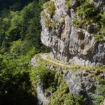 Steig im Valle delle Seghe zwischen Pradeel Hochebene und Schutzhütte Croz del’Altissimo