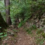 Wanderweg E5 mit Steinmauer