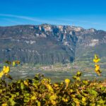 Tramin im Herbst. Blick von Montan.