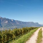 Spazier- und Mountainbikeweg Bahntrasse Fleimstalbahn