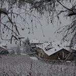 Winterwanderung Kurtatsch