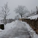 Winterwanderung Kurtatsch