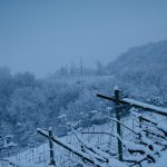 Winterwanderung Penon/Kurtatsch