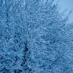 Winterwanderung Penon/Kurtatsch