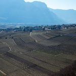 Tramin mit Kastelatzkirchlein