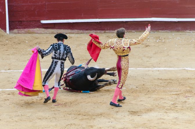 Jubel in der Arena, der Matador hat den Stier bezwungen und wird gefeiert