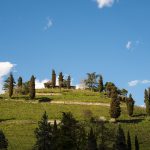 Kastelatz Weinberg über Tramin im Frühling