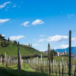 Panoramabild im Frühling: Tramin/Südtirol