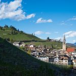 Frühling Tramin