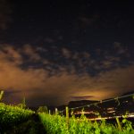 Weinberge mit Sternenhimmel