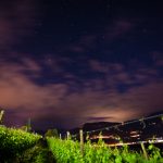 Weinberge mit Sternenhimmel