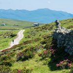 Wanderung Rittner Horn