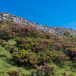 Wanderung Rittner Horn Sarner Scharte