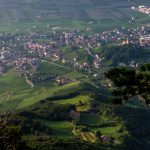 Blick auf Tramin von der Lungenfrisch