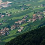 Viertelgraun bei Tramin