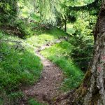 Wanderung Gummerer Hof – Überetscher Hütte