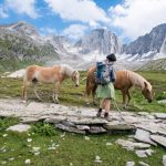 Anni mit Haflinger Pferde im Pfossental