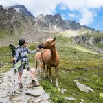 Anni mit Haflinger Pferde im Pfossental