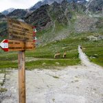 Almerlebnisweg im Pfossental