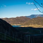 Blick von Tramin zum Kalterer See im Süden Südtirols