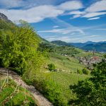 Blick vom Giggerblick nach Tramin