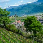 Blick auf das Weindorf Tramin im Frühling