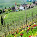 Blick auf Rungg im Frühling