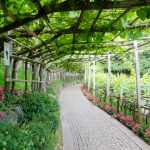 Weinlaube in den GÃ¤rten von Schloss Trauttmansdorff